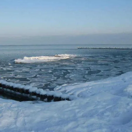 Apartment Kastanienallee Zwischen Zentrum Und Seebrücke