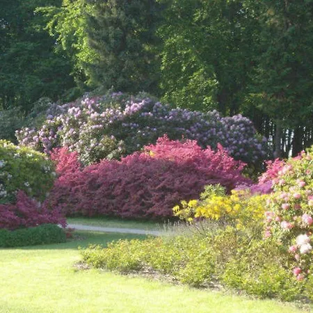 Kastanienallee Zwischen Zentrum Und Seebrücke *